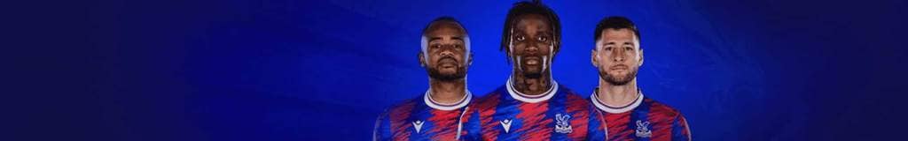 automatic sudoku solver
